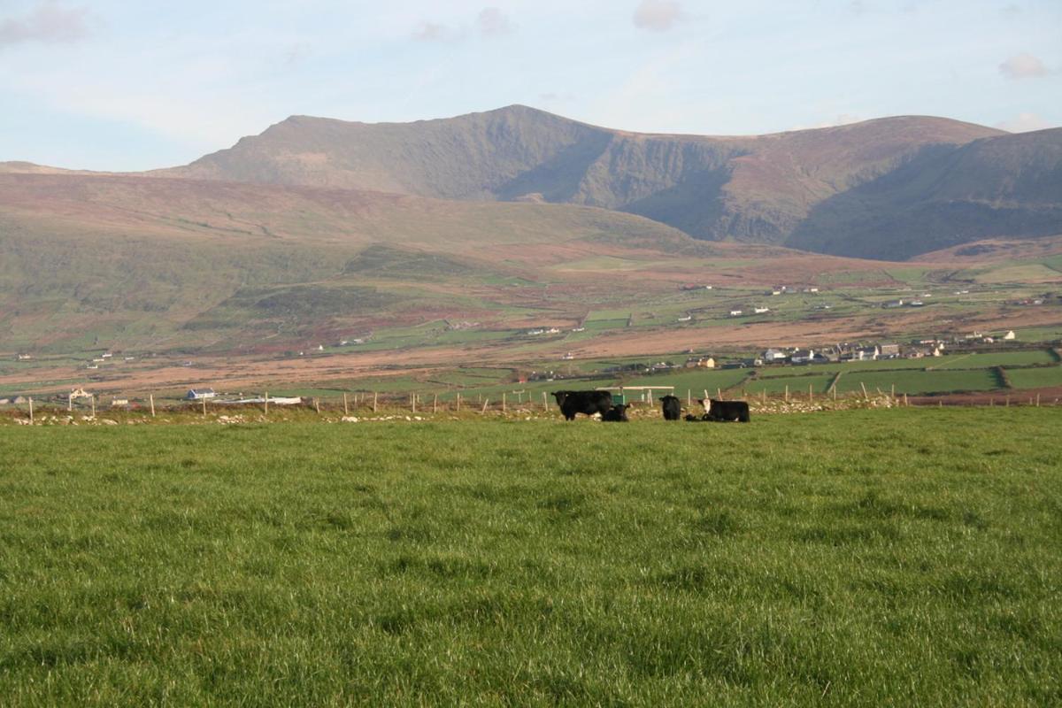 Coill An Rois B&B Ballydavid Εξωτερικό φωτογραφία